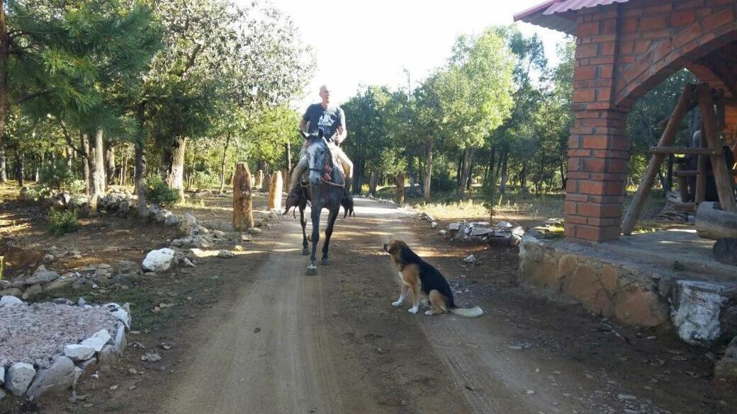 Rancho Cabanas San Isidro Cerocahuí Zewnętrze zdjęcie
