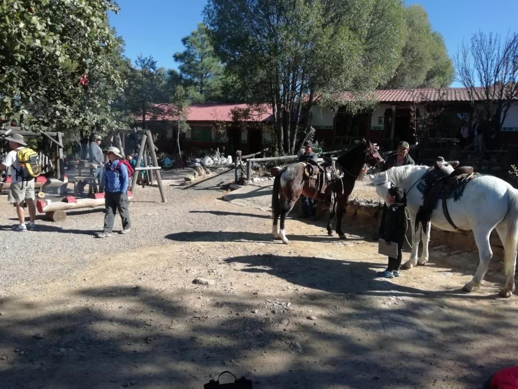Rancho Cabanas San Isidro Cerocahuí Zewnętrze zdjęcie